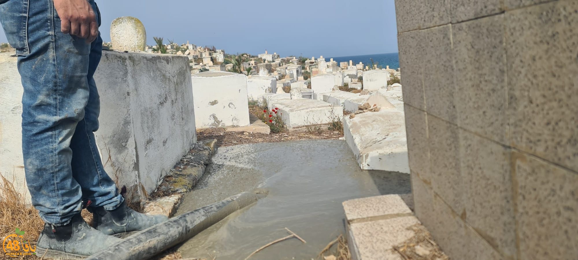 WhatsApp Image 2023-06-03 at 10.11.58 AM (1).jpeg